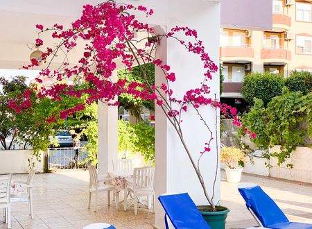 turkey/antalya/alanya/bellaroseaparthotel18414388.jpg