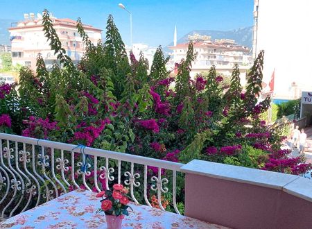 turkey/antalya/alanya/bellaroseaparthotel711fa478.jpg