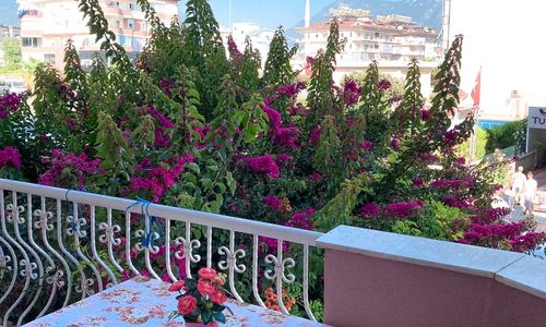 turkey/antalya/alanya/bellaroseaparthotel711fa478.jpg