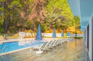 turkey/antalya/alanya/forestparkavsallar0038025f.jpg
