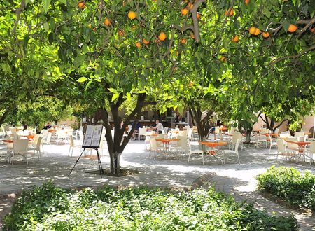 turkey/antalya/alanya/noxinnclubhotel88ee22ec.jpg