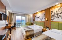 Standard Spacious Room