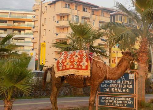 turkey/antalya/alanya/semtlunabeach4a5bf01a.jpg