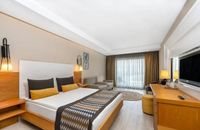 Superior Room - Land View