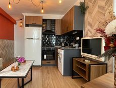 1+1 Appartement