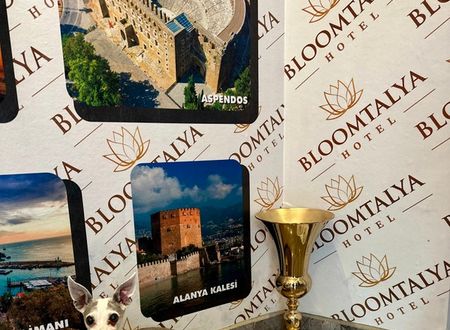 turkey/antalya/bloomtalyahotel5eef0e55.jpg
