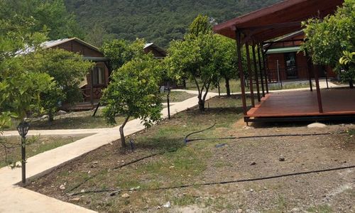 turkey/antalya/ciraliankaapartbungalov4b1de4dd.jpg