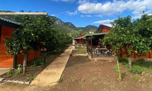 turkey/antalya/ciraliankaapartbungalov73c81411.jpg