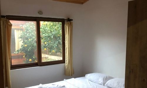 turkey/antalya/ciraliankaapartbungalov918fecf7.jpg