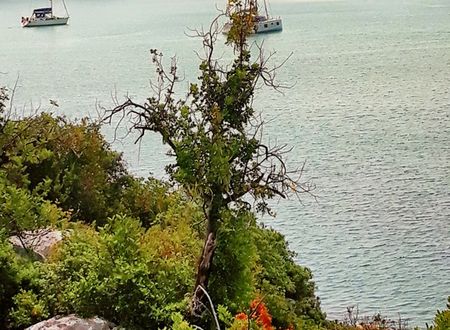 turkey/antalya/istladatasevapart7e9a20f7.jpg