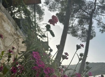 turkey/antalya/kandybosecofarmvillage6779366e.jpg