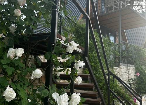 turkey/antalya/kandybosecofarmvillageb0d2fcb6.jpg