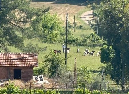 turkey/antalya/kandybosecofarmvillagef5f55bbc.jpg