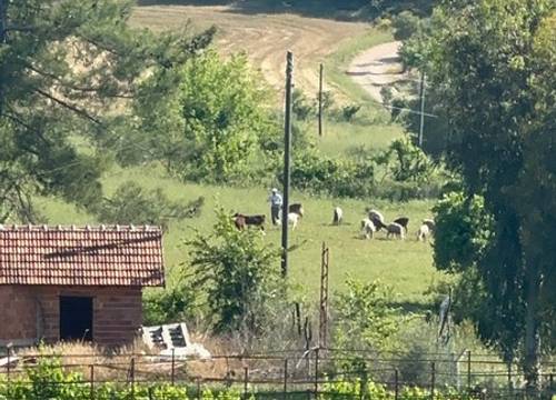 turkey/antalya/kandybosecofarmvillagef5f55bbc.jpg
