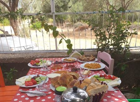 turkey/antalya/kaptanyesilvadidogahotel1a9b3abd.jpg