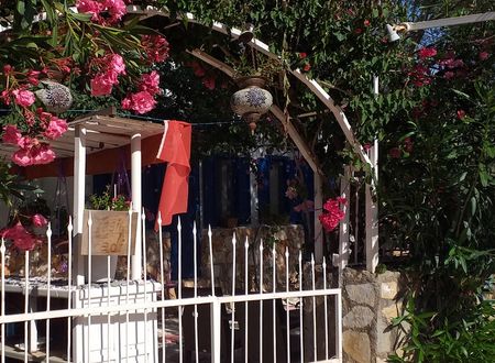 turkey/antalya/kaptanyesilvadidogahotelbba8aea8.jpg