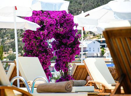 turkey/antalya/kas/happyhotelkalkan319d6fd1.jpg