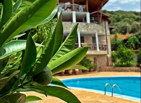 turkey/antalya/kas/kasdogaparkhotel12396246.jpg