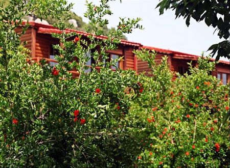 turkey/antalya/kas/kasdogaparkhotel4ce8443d.jpg