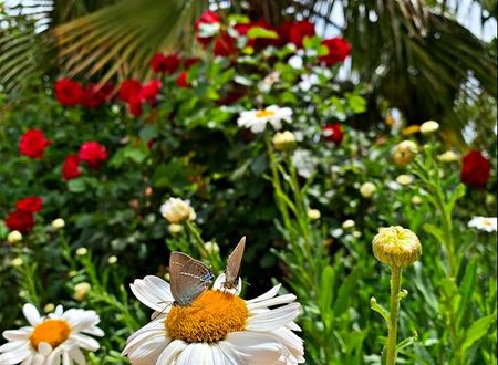turkey/antalya/kas/kasdogaparkhotel93c2060e.jpg