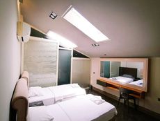 Roof Window Room