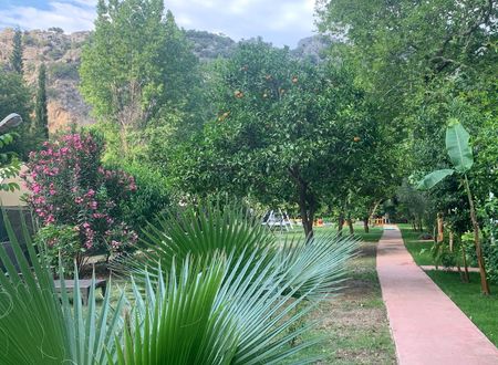 turkey/antalya/kemer/adabellapansiyon40ed4b27.jpg