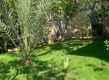 turkey/antalya/kemer/adabellapansiyon60a143e9.jpg
