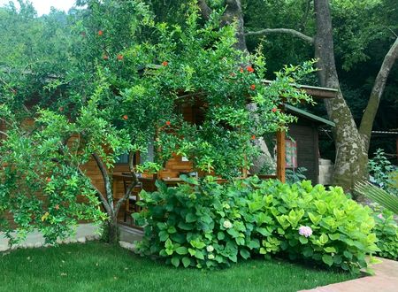 turkey/antalya/kemer/adabellapansiyon8b8e6a02.jpg
