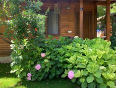 Bungalow (Standard)