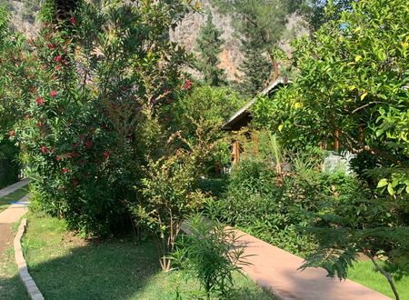 turkey/antalya/kemer/adabellapansiyonefed922f.jpg