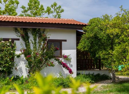 turkey/antalya/kemer/akdenizbahcesibutikaparthotel891f527a.jpg