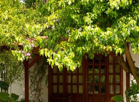 turkey/antalya/kemer/akdenizbahcesibutikaparthotelb3c7ac91.jpg