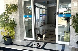 turkey/antalya/kemer/amsterdamotelsuitesc66820f7.jpg