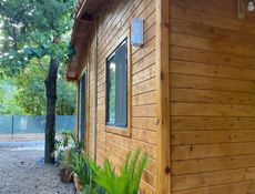 Canario Evi