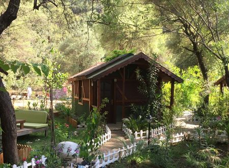 turkey/antalya/kemer/canariopensiond45410e1.jpg