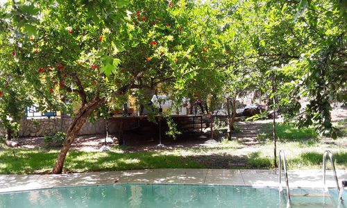 turkey/antalya/kemer/ciralikemerantalyawaldvilla26b96edd.jpg