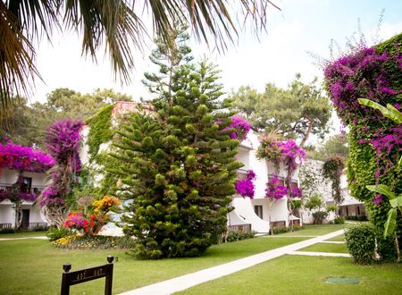 turkey/antalya/kemer/clubboranmarebeach654e3201.jpg