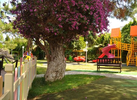 turkey/antalya/kemer/clubboranmarebeach7510bd0c.jpg