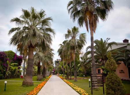 turkey/antalya/kemer/clubboranmarebeacha123715c.jpg