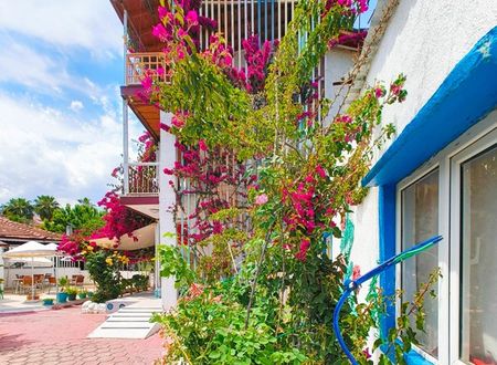turkey/antalya/kemer/erendizgartenhotel276699f6.jpg