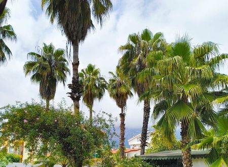 turkey/antalya/kemer/erendizgartenhotel3c526eb9.jpg