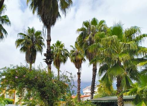 turkey/antalya/kemer/erendizgartenhotel3c526eb9.jpg