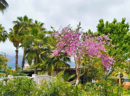 turkey/antalya/kemer/erendizgartenhotel5a86b72d.jpg