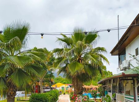 turkey/antalya/kemer/erendizgartenhotel7b7cbcea.jpg