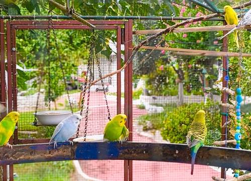 turkey/antalya/kemer/erendizgartenhotel857c053c.jpg