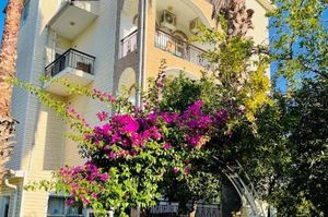 turkey/antalya/kemer/felicityhotelbungalows504adc94.jpg