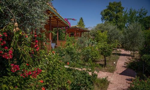 turkey/antalya/kemer/felicityhotelbungalows67c14baa.jpg