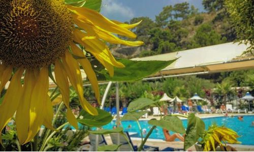 turkey/antalya/kemer/grandmiramorhotelc449e388.jpg