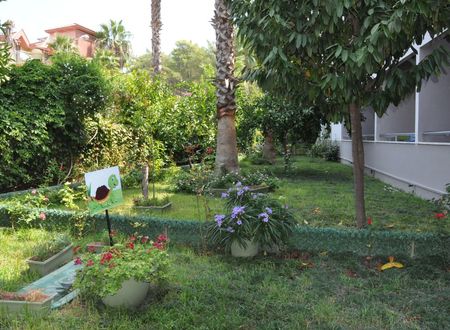 turkey/antalya/kemer/grandvikinghotel1c7ea485.jpg