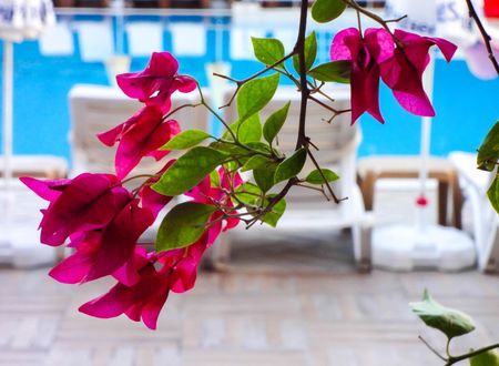 turkey/antalya/kemer/grandvikinghotel51414b4e.jpg